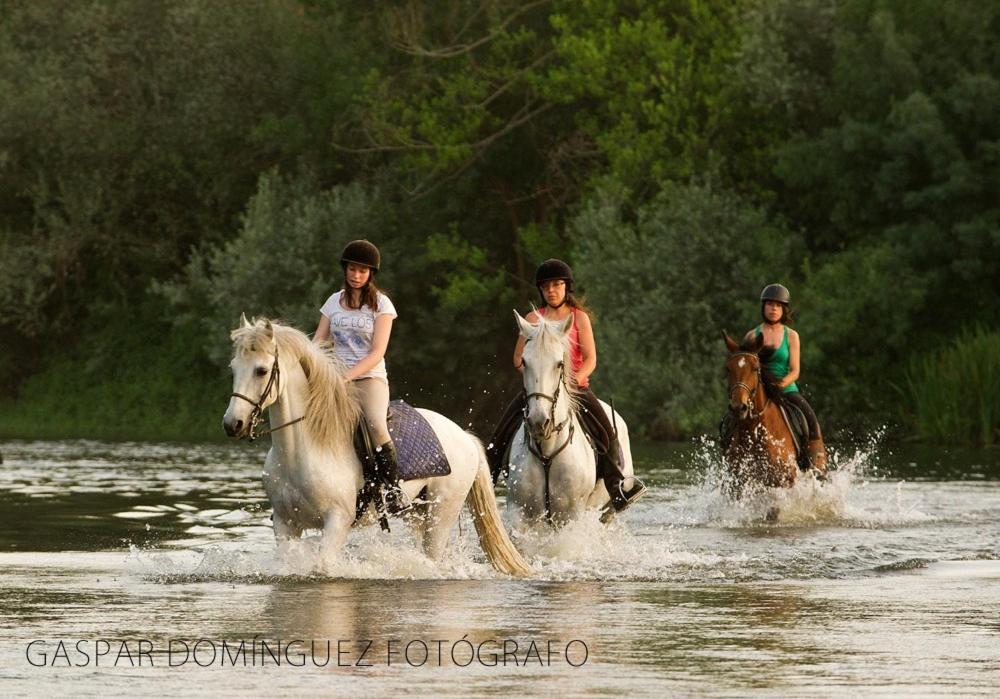 Complejo Oasis Beach Sobre El Rio Уэрта Экстерьер фото