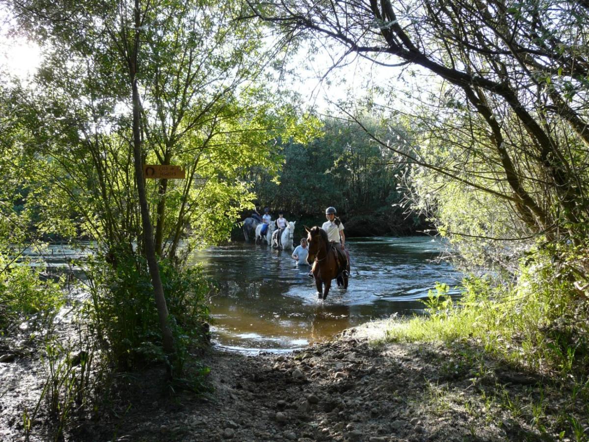 Complejo Oasis Beach Sobre El Rio Уэрта Экстерьер фото